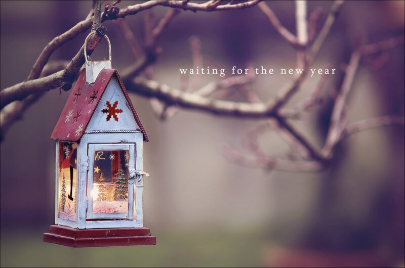 Decorative Lantern on Branch