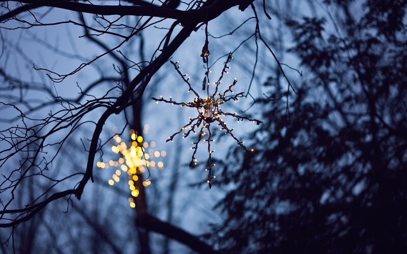 Decorative Lights on Tree
