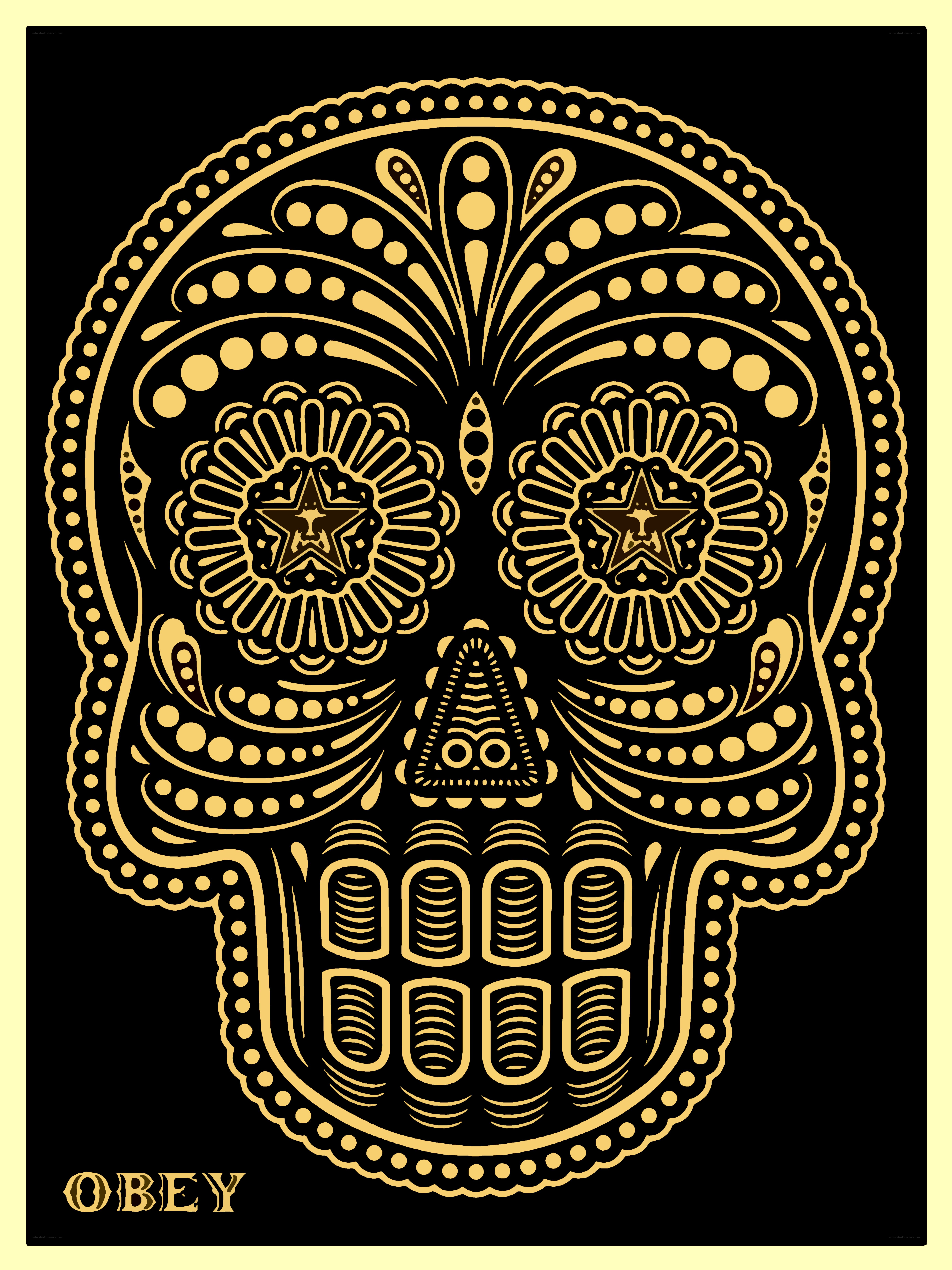decorative skull art