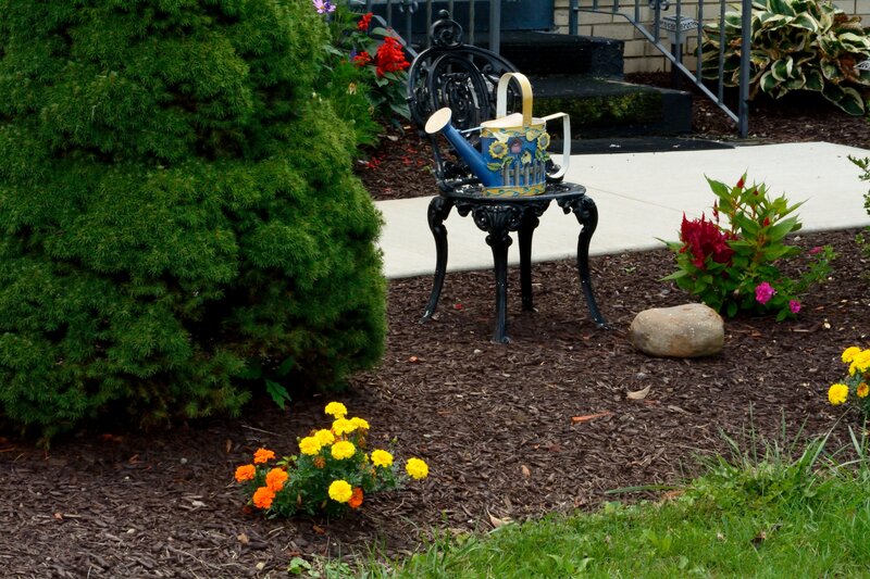 Decorative Watering Can