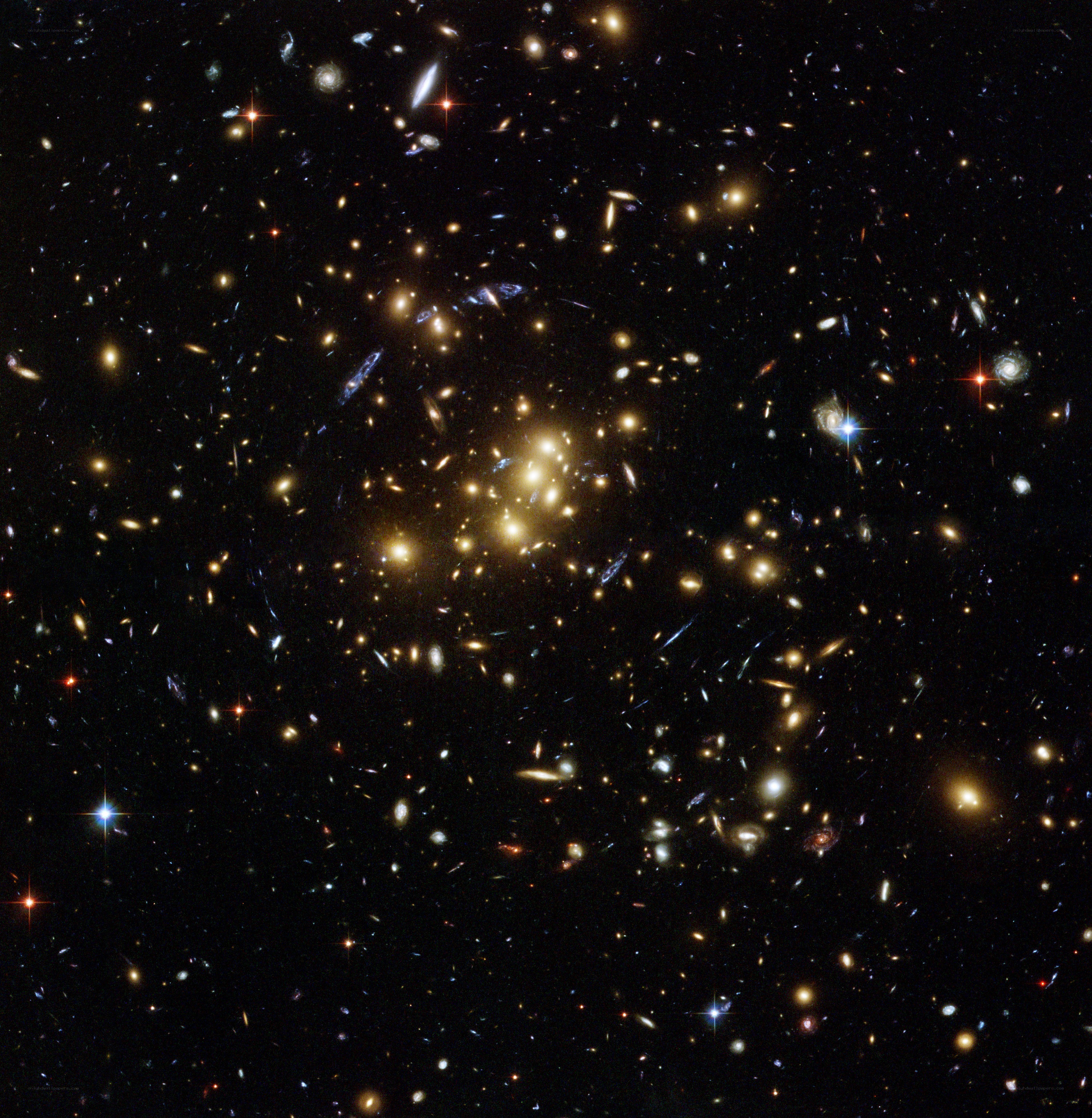 Deep field galaxy cluster