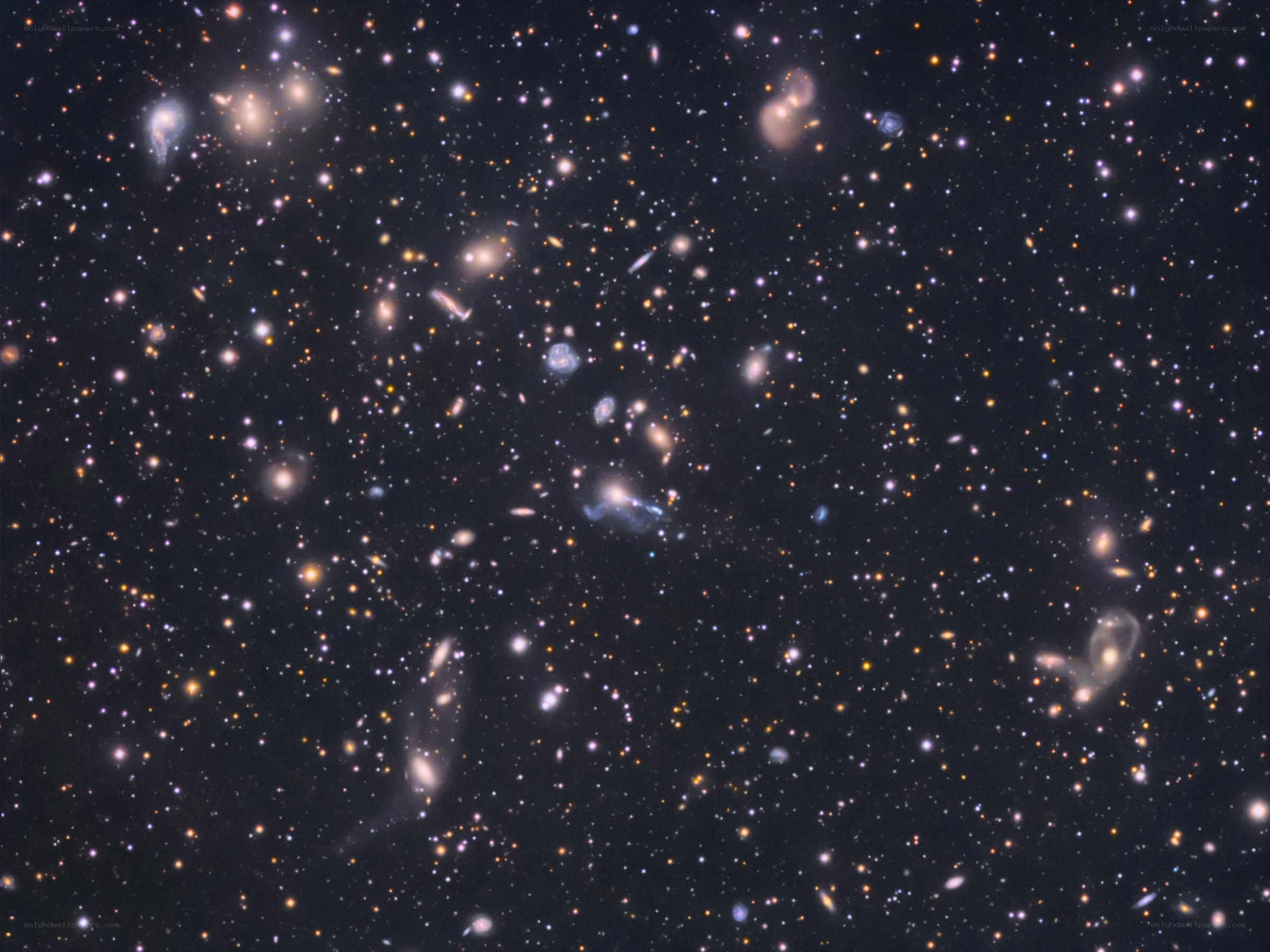 Deep field galaxy cluster