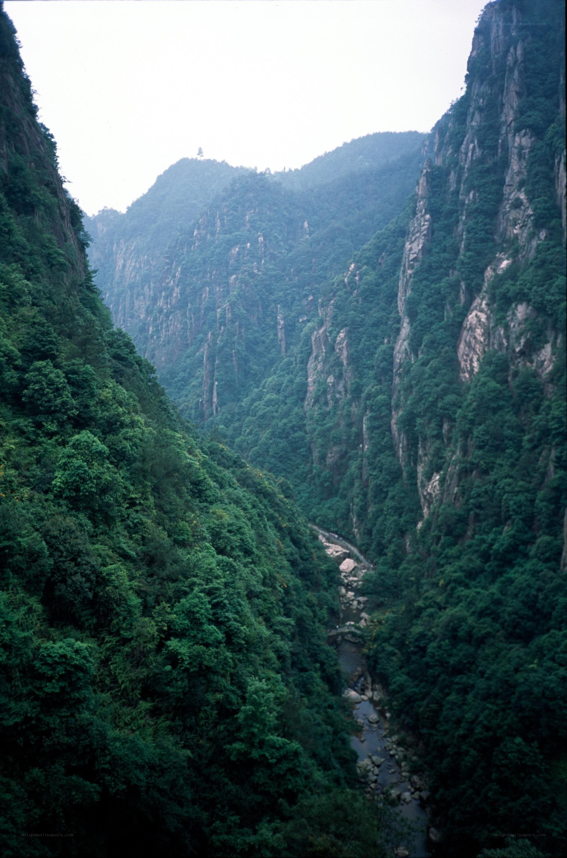 deep forested canyon with river