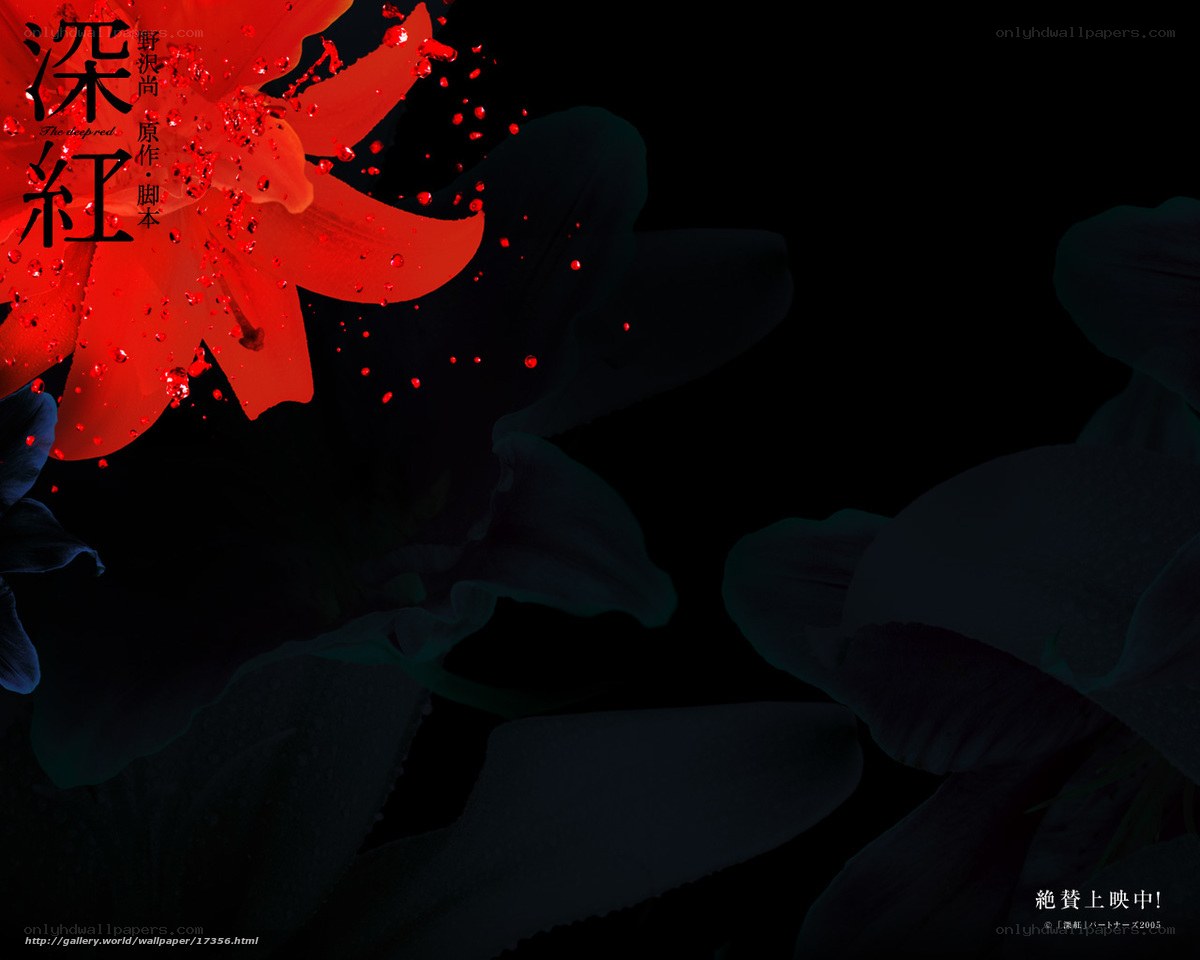 Deep Red movie poster