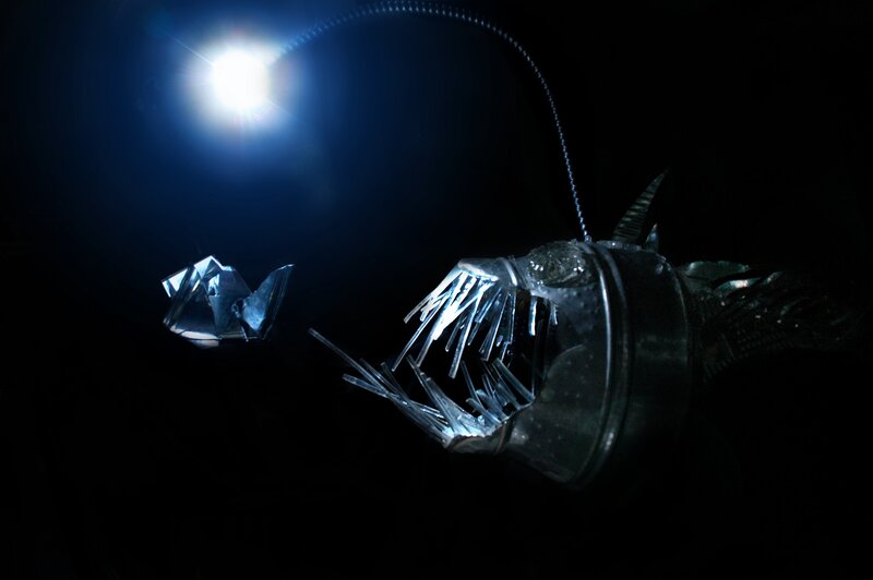 Deep-sea Anglerfish — Black, Dramatic, Night