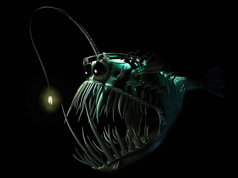 Deep-sea anglerfish with bioluminescent lure