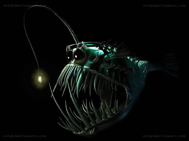 Deep-sea anglerfish with bioluminescent lure