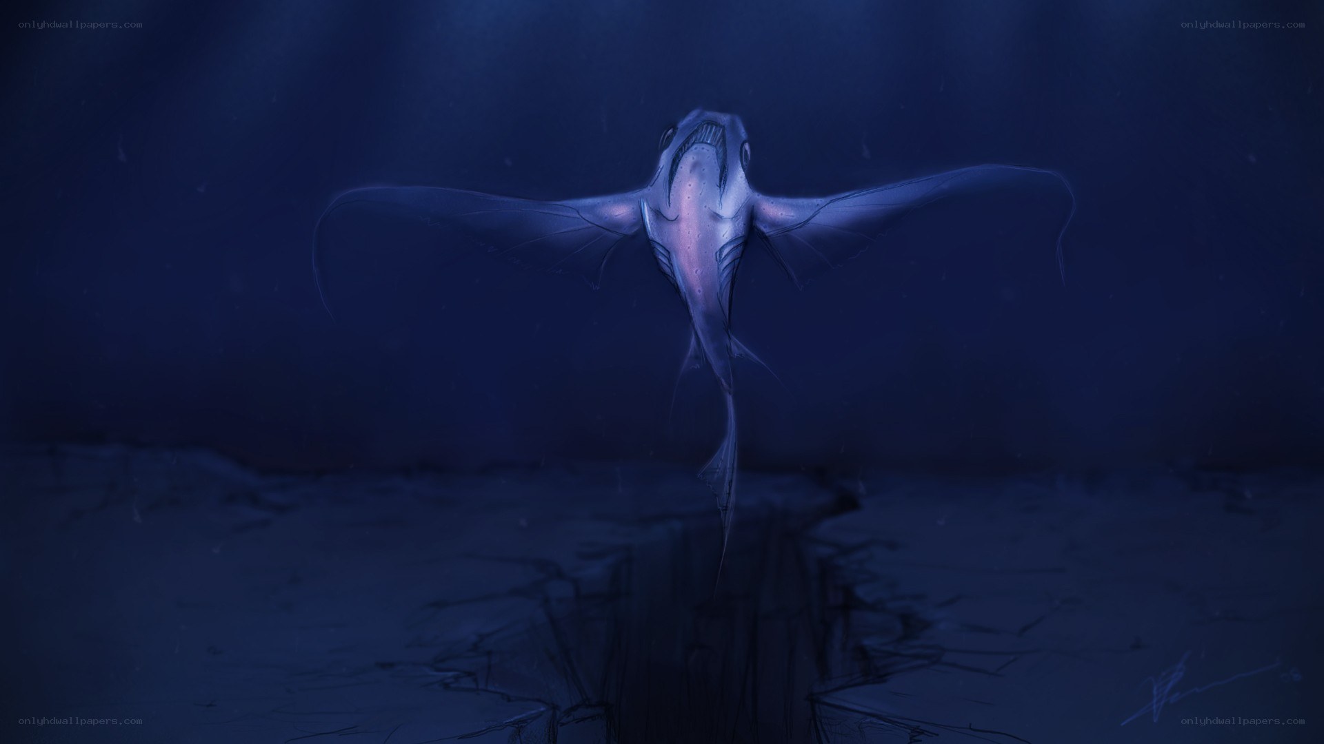 deep sea fish illustration