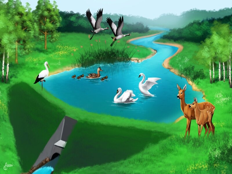 Deer and Birds by River