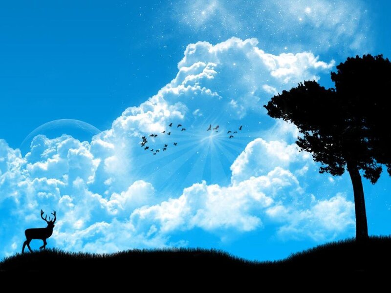 Deer and birds in a dreamy sky