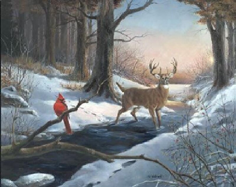 Deer and cardinal in winter forest
