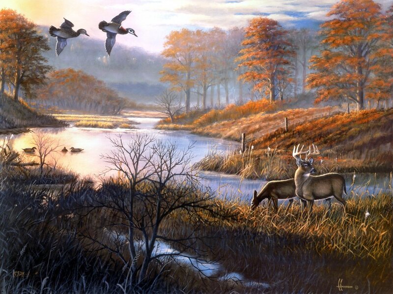 Deer and Ducks in Autumn — Orange