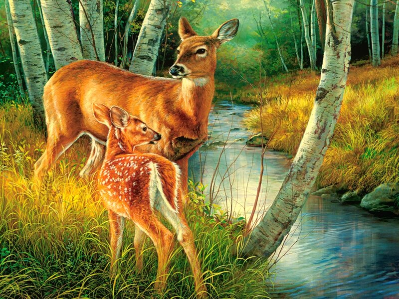 Deer and Fawn in Forest — Green, Serene
