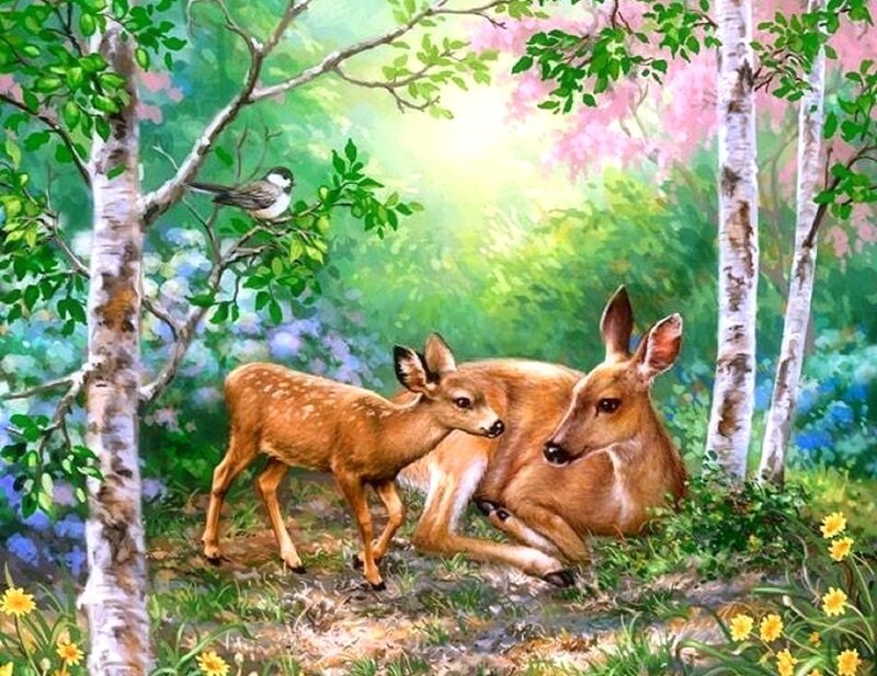 Deer and Fawn in Forest — Green