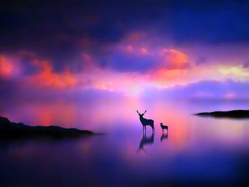 Deer and Fawn Silhouette
