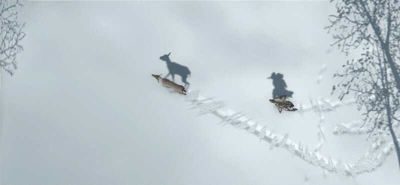 Deer and hunter in snowy forest