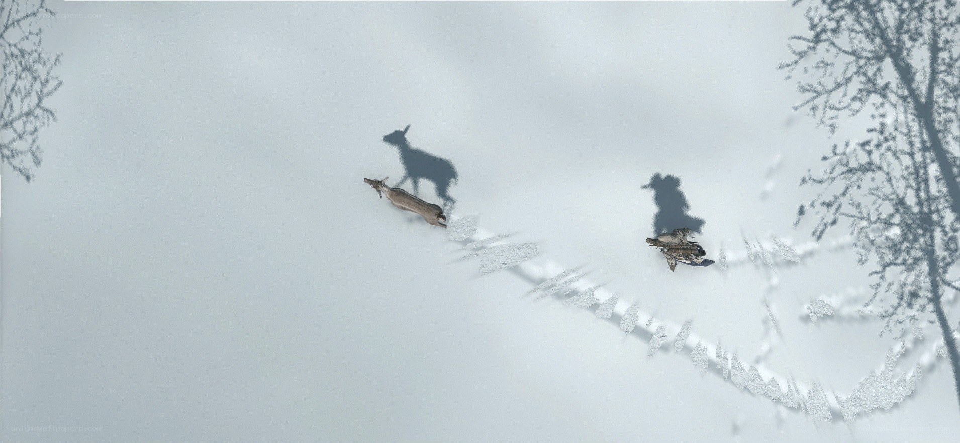 Deer and hunter in snowy forest