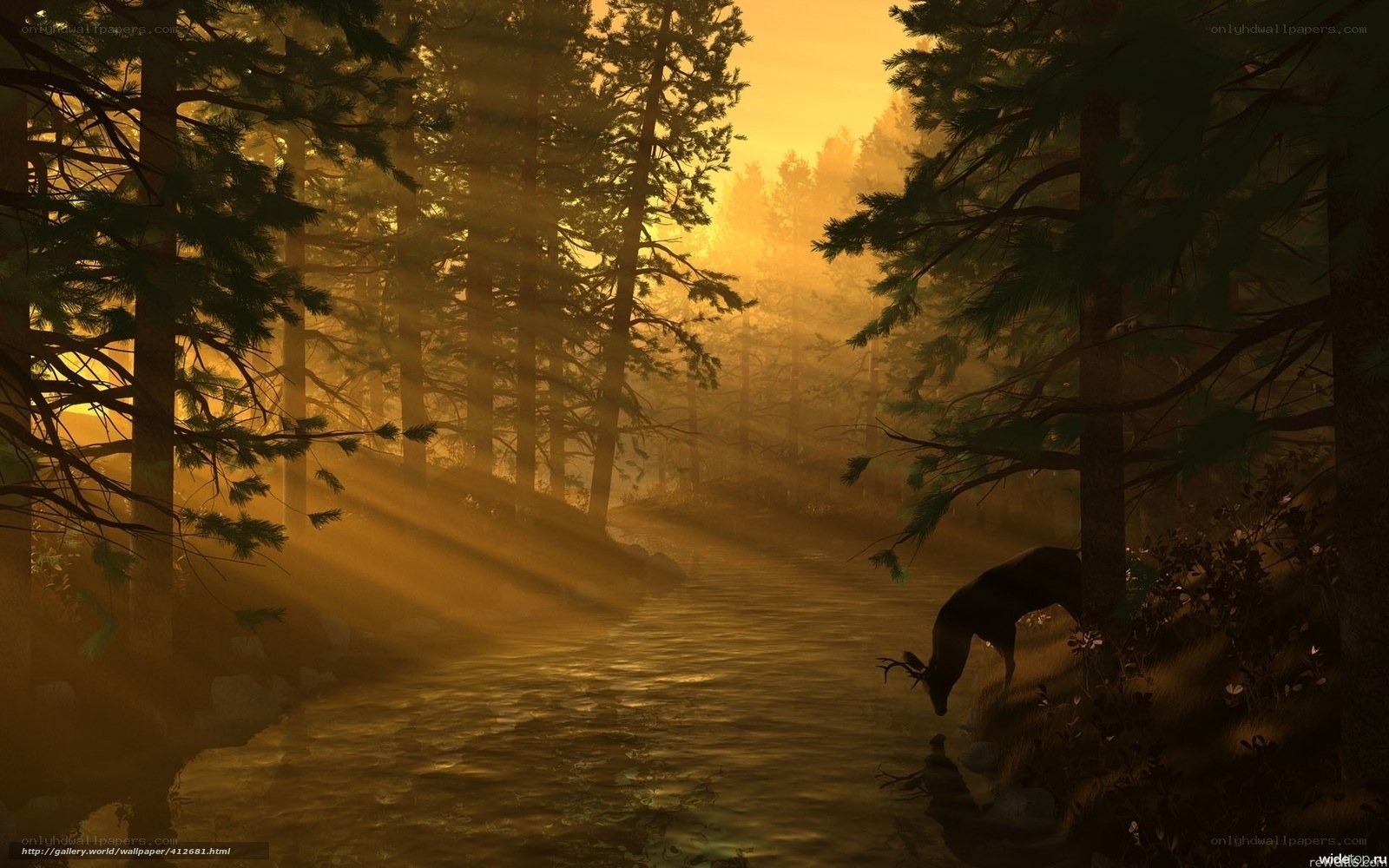 Deer at a forest stream