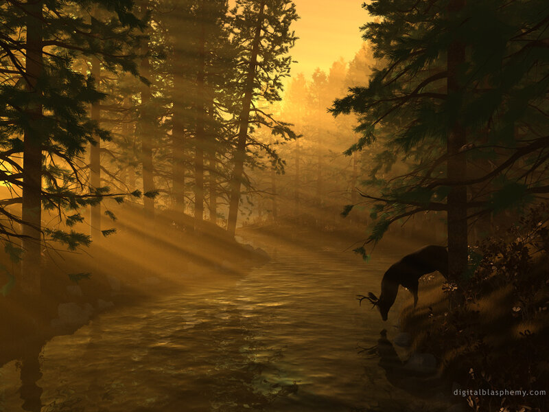 Deer at a forest stream