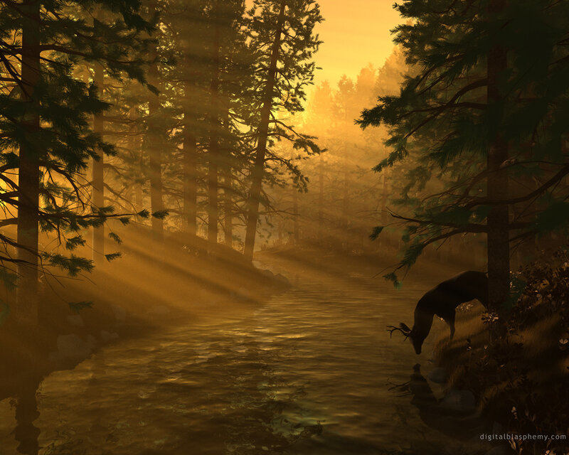 Deer at a forest stream
