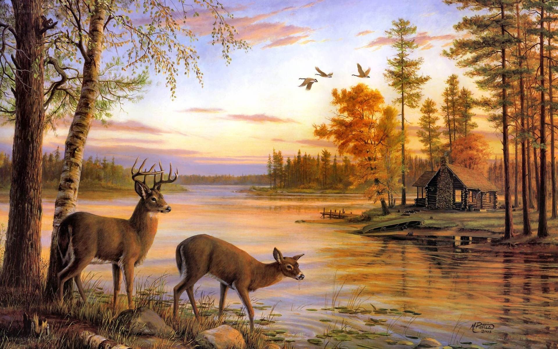 Deer at a lakeside cabin