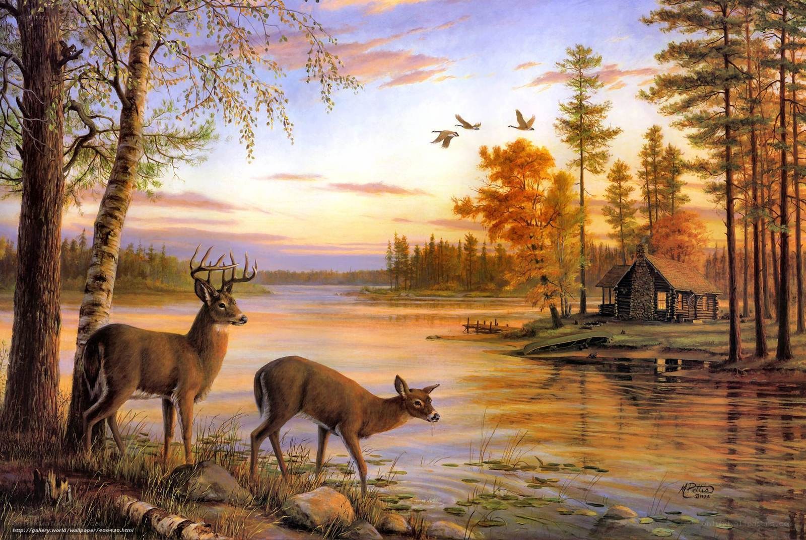 Deer at a lakeside cabin