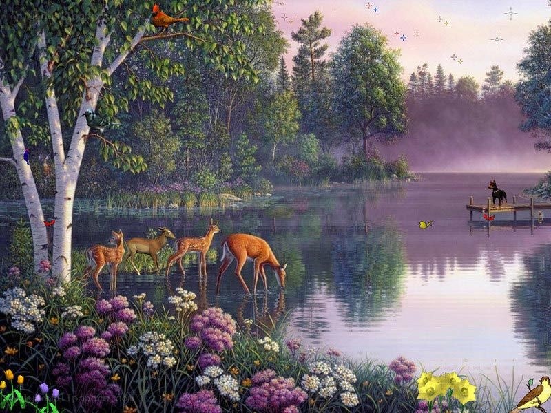 Deer at a lakeside meadow