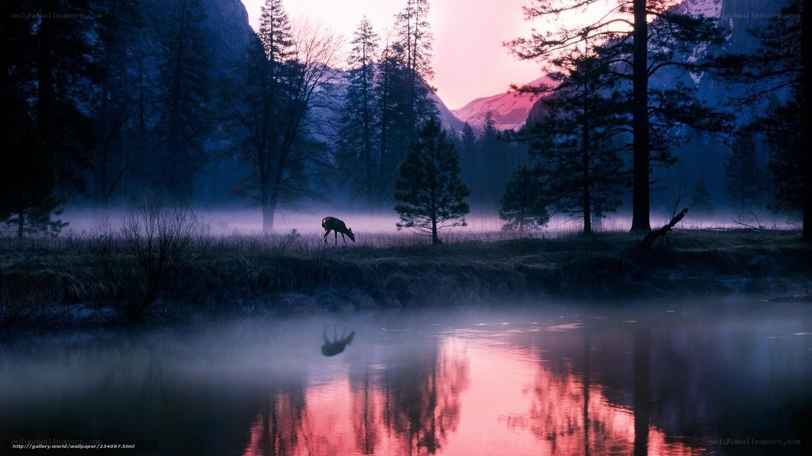 Deer at dawn by the river