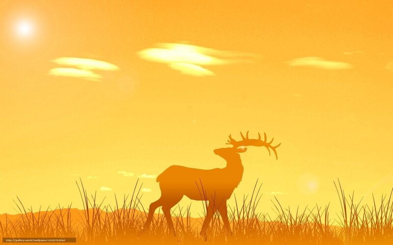 deer at sunset silhouette