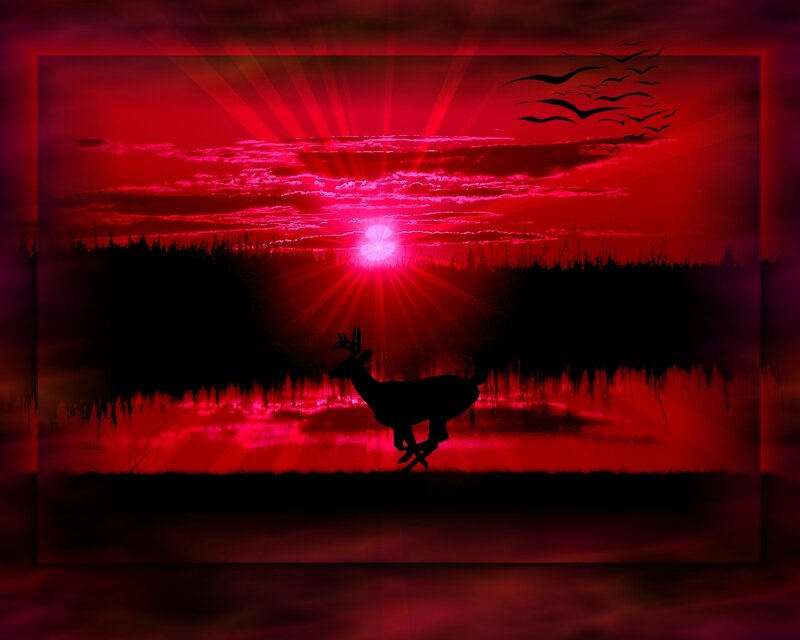 Deer at sunset