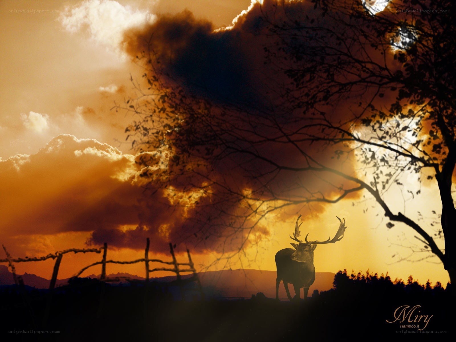 Deer at sunset with dramatic sky
