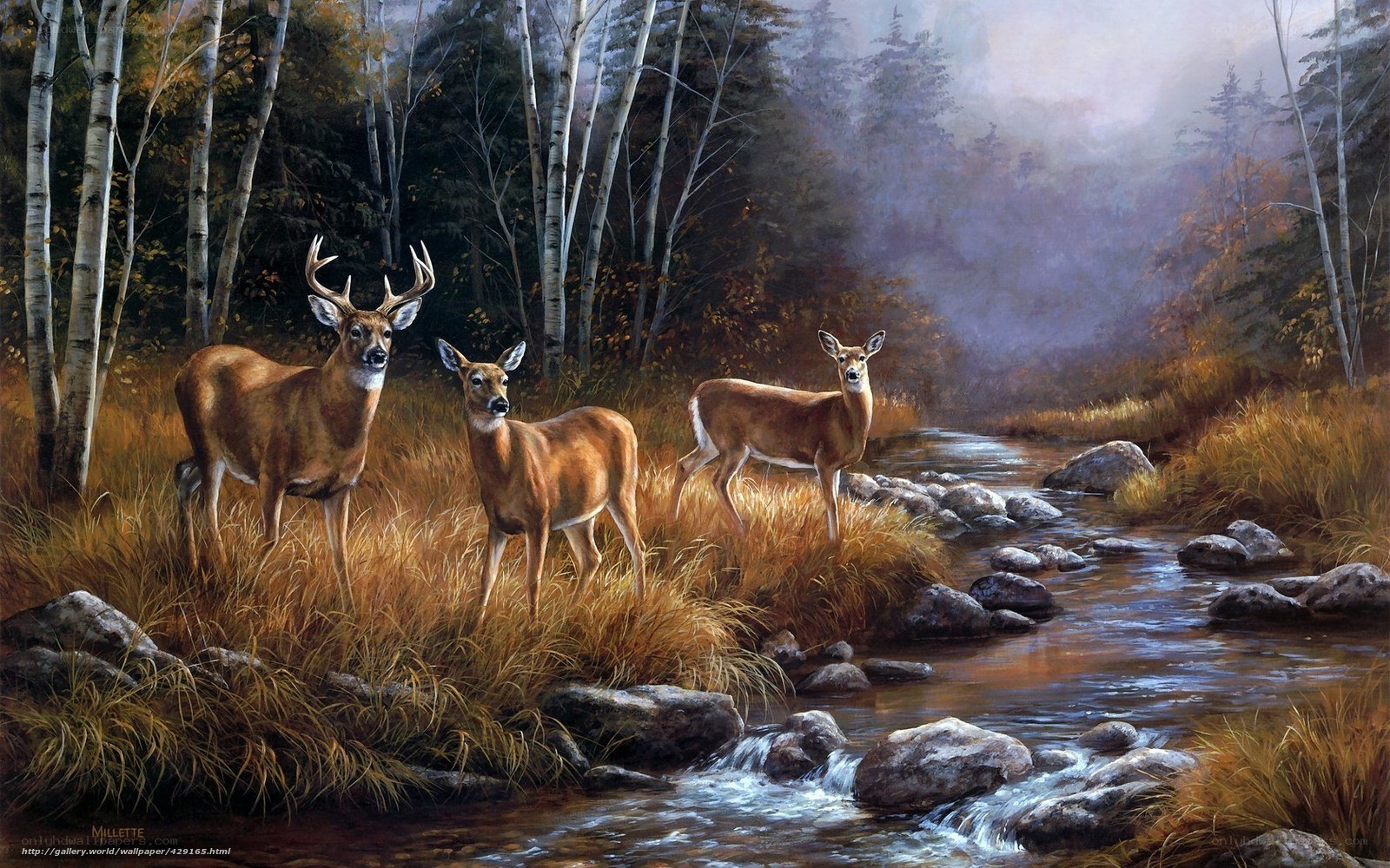 Deer by a forest stream