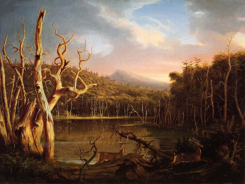 Deer by a Lake at Dusk