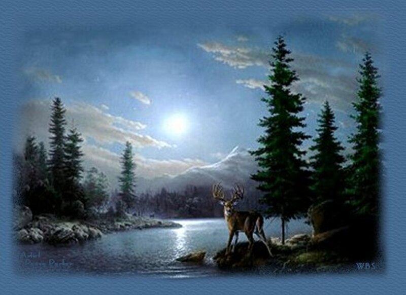 Deer by a Lake — Blue, Serene, Night