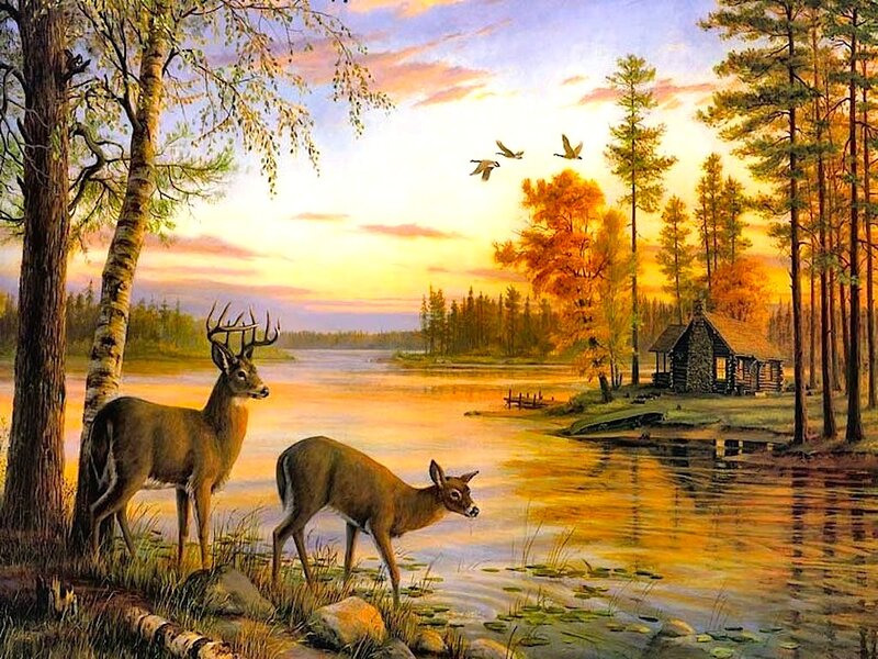 Deer by a Lake — Orange, Serene, Sunset, Painting, Birds