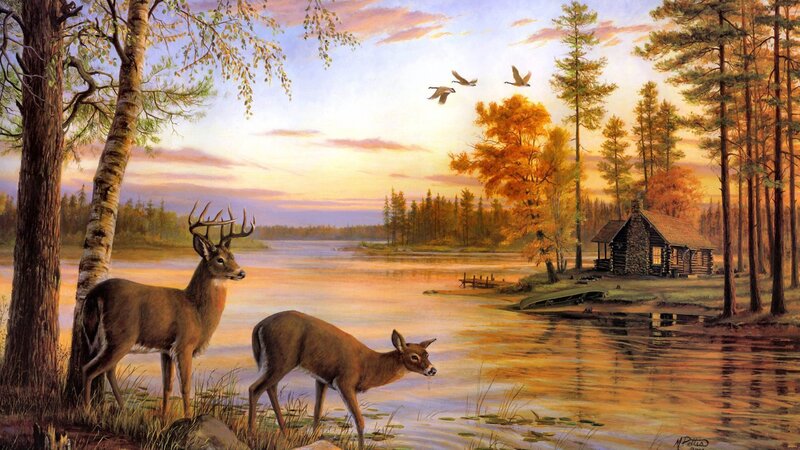 Deer by a Lake — Orange, Serene