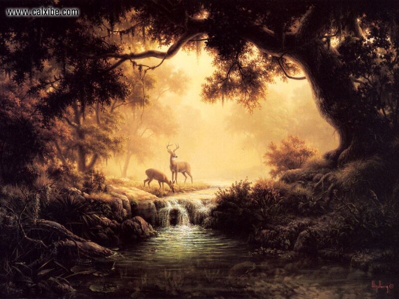Deer by a Stream