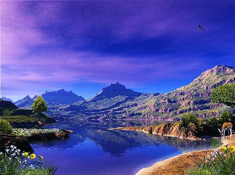 Deer by Lake — Blue