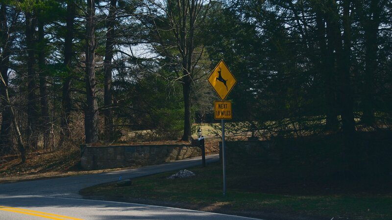 Deer Crossing Sign