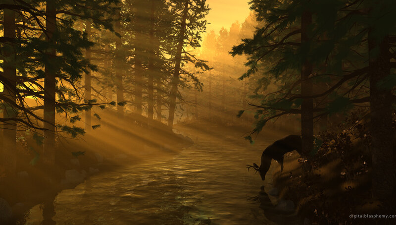 Deer drinking at sunset
