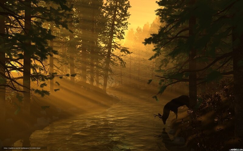 Deer Drinking from River — Gold