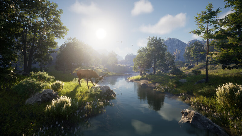Deer Drinking from River — Green, Serene