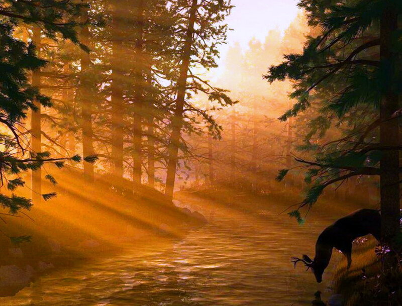 Deer Drinking from River — Orange