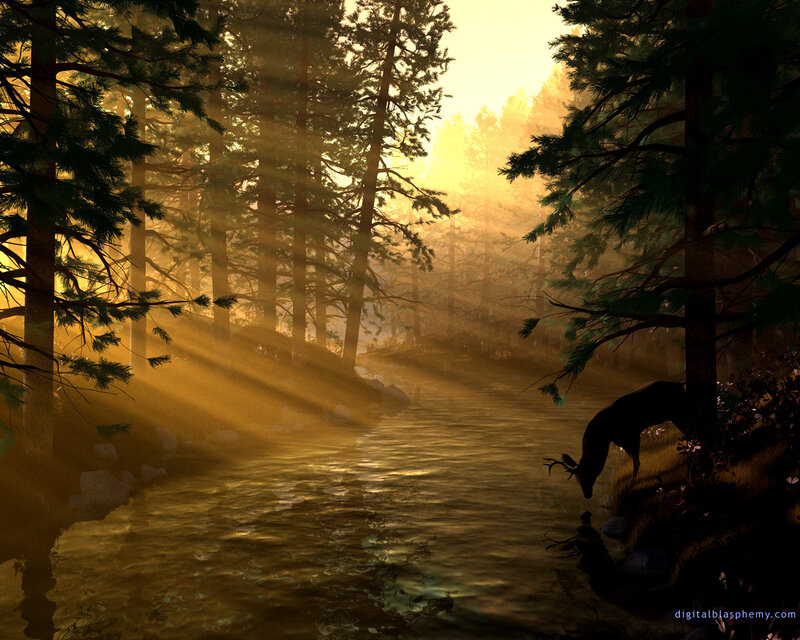 Deer Drinking from River