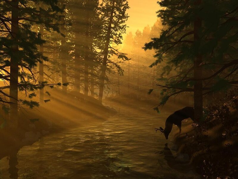 Deer Drinking from Stream — Gold, Serene, Sunset, Digital Art, Forest, River, Sunlight