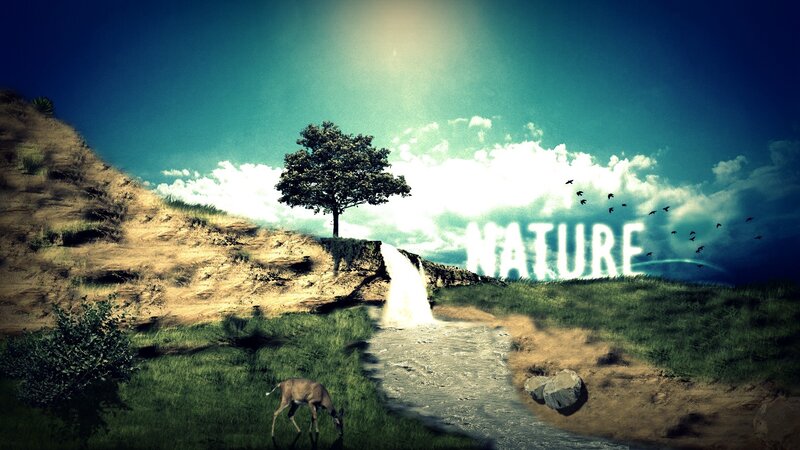 Deer Drinking from Stream — Green, Serene, Afternoon
