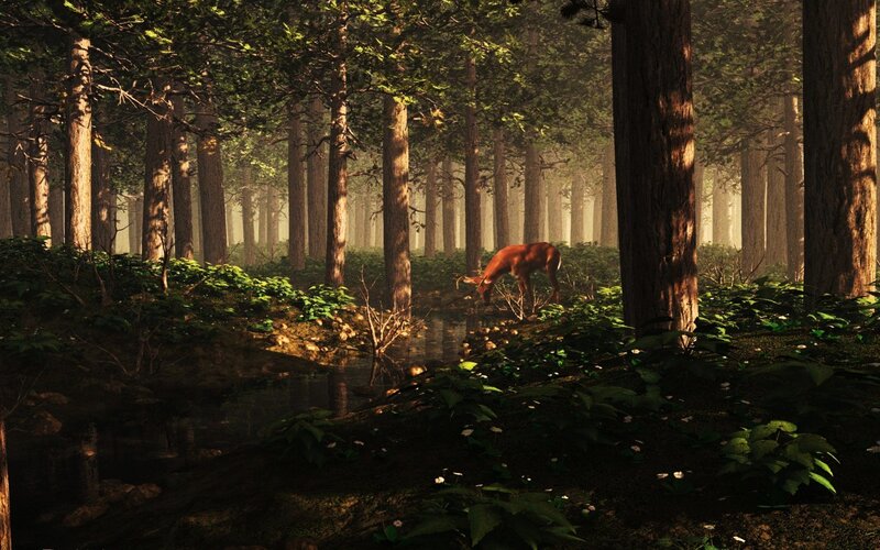 Deer Drinking from Stream — Green, Serene, Morning