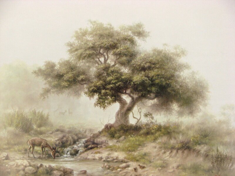 Deer Drinking from Stream — Green, Serene