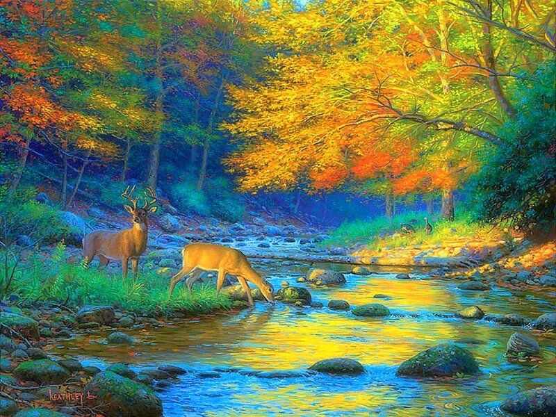 Deer Drinking from Stream — Yellow, Serene, Autumn