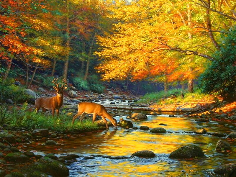 Deer Drinking from Stream — Yellow, Serene